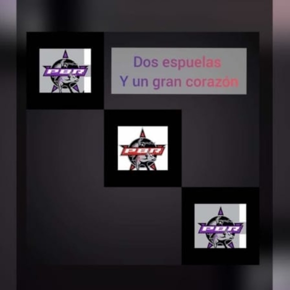 Meet your Posher, Werner - Picture 1 of 1